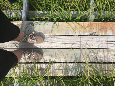 Woman hiker standing on a wooden bridge over the swamp