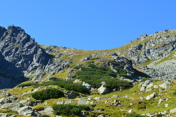 Tatry,  widok na Szpiglasową Przełęcz z Doliny za Mnichem, latem