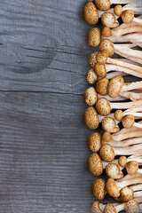 honey mushrooms on a wooden surface, autumn harvest