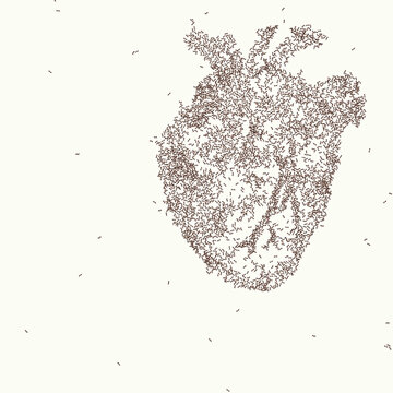 Ant Heart
