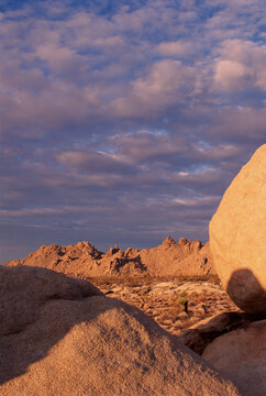 35-mm film capture of winter sunrise in Mojave Desert of California