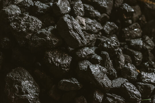Pile of coal