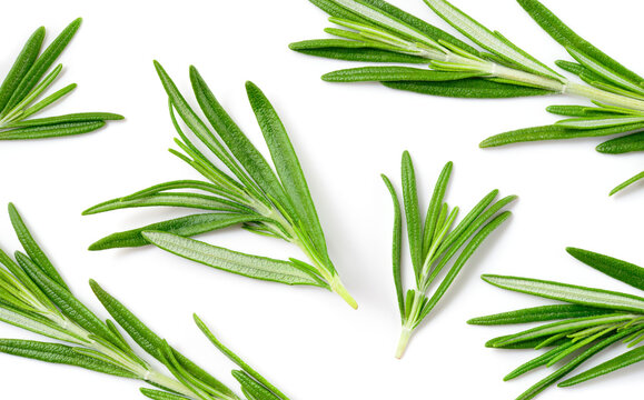 “Rosemary Background” Images – Browse 129 Stock Photos, Vectors, and