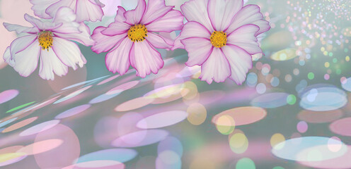 Pink camomile flower on variegated colorfulwith circles horizontal background. 