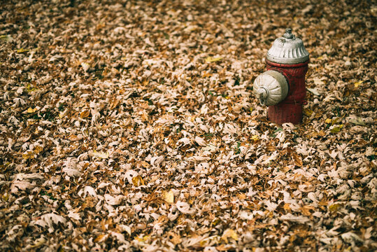 Fire Hydrant in Fall
