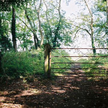 Countryside gate