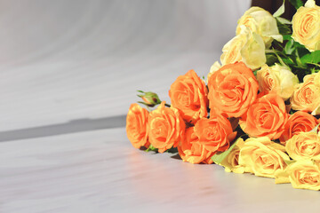 yellow and orange roses on a grey background. trendydirect sunlight. card or poster with copy space for text.