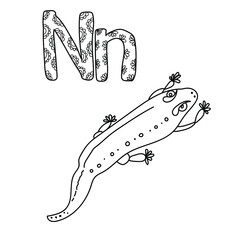 Coloring page for study letter N, outline illustration  of newt and volumetric letters with patterns, vector outline illustration