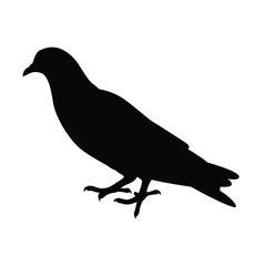 Pigeon silhouette vector