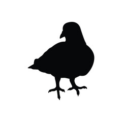 Pigeon silhouette vector