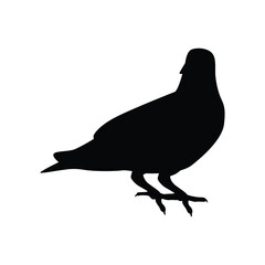 Pigeon silhouette vector