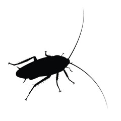 Cockroach silhouette vector