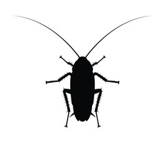 Cockroach silhouette vector