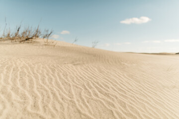 Beach sand dune