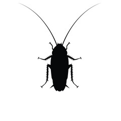Cockroach silhouette vector