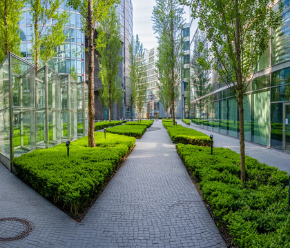 Blick auf moderne Bürogebäude mit Glasfassaden und grüne Bäume auf dem Gehweg im Stadtzentrum