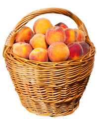 Ripe peaches in a basket