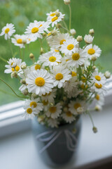 Fresh bouquet of chamomile flowers in a vase on the windowsill. Rain outside the window.