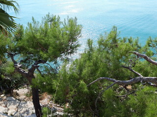 Nadmorski krajobraz Vieste, Italia.