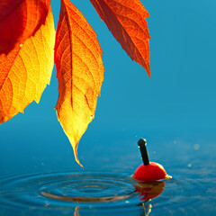 Autumn leaf and float