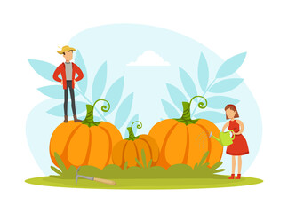 Tiny Gardeners Caring about Pumpkins, Farmers Working Together and Growing Organic Vegetables, Agriculture, Healthy Food Production Vector Illustration