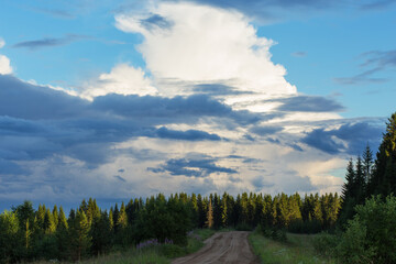 The spruce forest is illuminated by the setting summer sun. A sandy road leads to the forest. Beautiful white clouds at sunset. Blue flowers grow in the meadow by the road