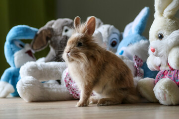Cute lively bunny among plush bunnies