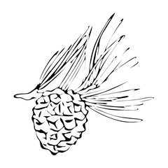 Beautiful fir branch for Christmas cards and greetings