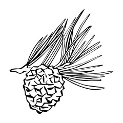 Beautiful fir branch for Christmas cards and greetings