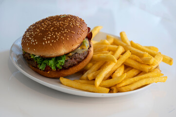 Bacon cheese burger with french fries on a plate