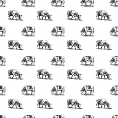 Domestic cows seamless pattern hand drawn in a graphic style. Vintage digital engraving illustration for poster, web, packaging, branding, flyer, print. Isolated on white background