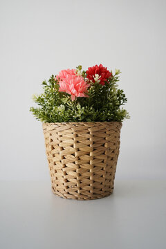 flowers in a basket