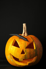 Halloween pumpkin head jack lantern on black background. Vertical foto