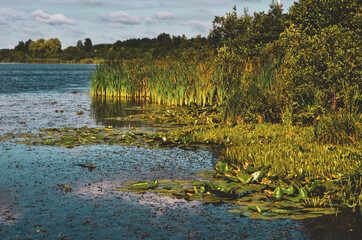 autumn landscape with lake