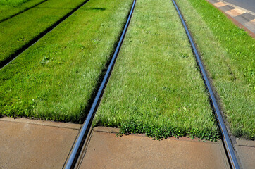 
grassing of train tracks between tram tracks in the city. part of it is automatic irrigation with...
