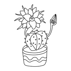 Blooming cactus with a beautiful big flower in doodle style. Houseplant in a pot decorated with ornaments. Hand drawn vector illustration of succulent in black ink on white. Isolated outline.
