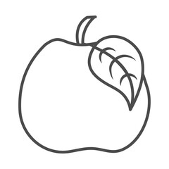 apple fruit fresh harvest nature line icon style