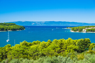 Olive trees and beautiful Adriatic seascape, sail boat in lagoon on the island of Cres in Croatia