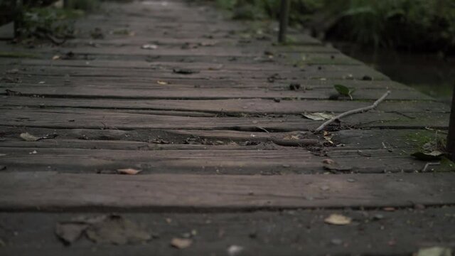 Rustic rickety bridge low zoom shot