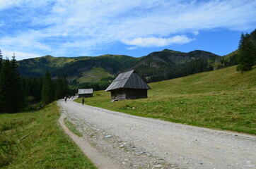 Tatry, Dolina Chochołowska © Ewa