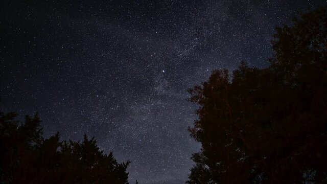 Milkyway timelapse with trees light by by fire camp