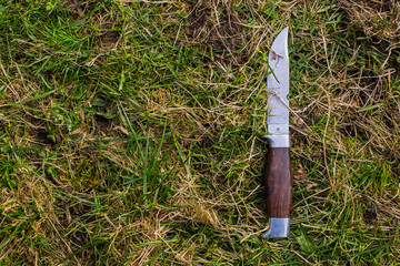 Closeup of a knife laying in the grass