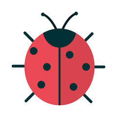 ladybug insect animal flat icon style