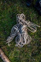 A old white rope in the grass