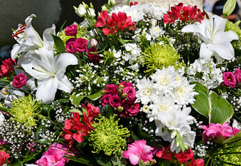 Group of flowers summer nature