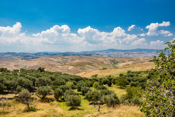 Fototapeta na wymiar Craco, Matera, Italy. View from the top of the endless and desolate hills of Basilicata. The deserted countryside, the olive trees and the cultivated fields.