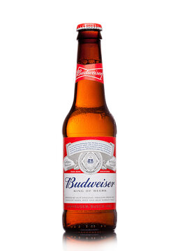 LONDON,UK - MARCH 21, 2017 : Bottle of Budweiser Beer on white background, an American lager first introduced in 1876.
