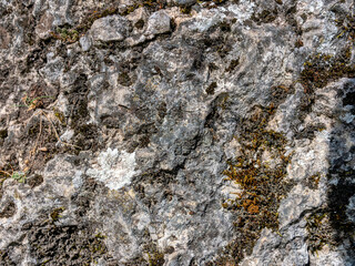 A piece of limestone rock. Kobylaska Valley. Poland.