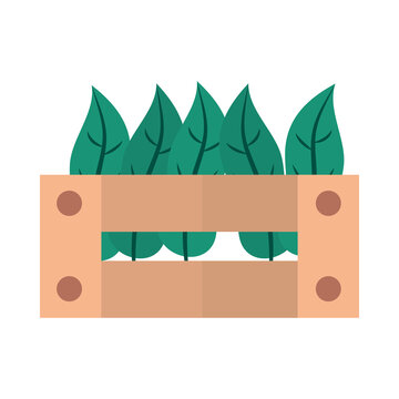 Gardening, Leaves Plant In Wood Basket Flat Icon Style