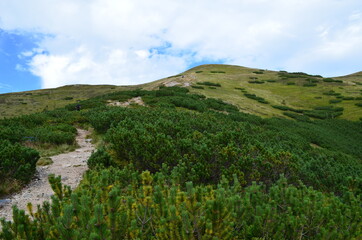 Tatry Zachodnie, szczyty, szlaki graniowe, latem, widok z Doliny Jarząbka, Polska